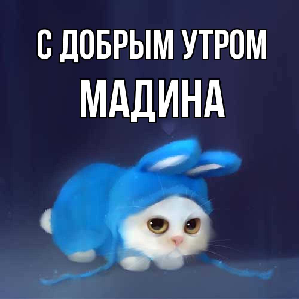 Открытка  с именем. Мадина, С добрым утром  