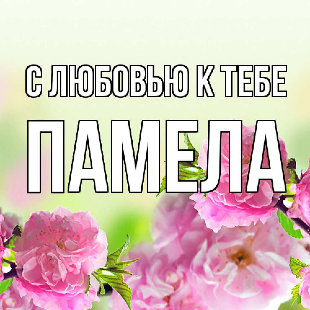 Открытка  с именем. Памела, С любовью к тебе  