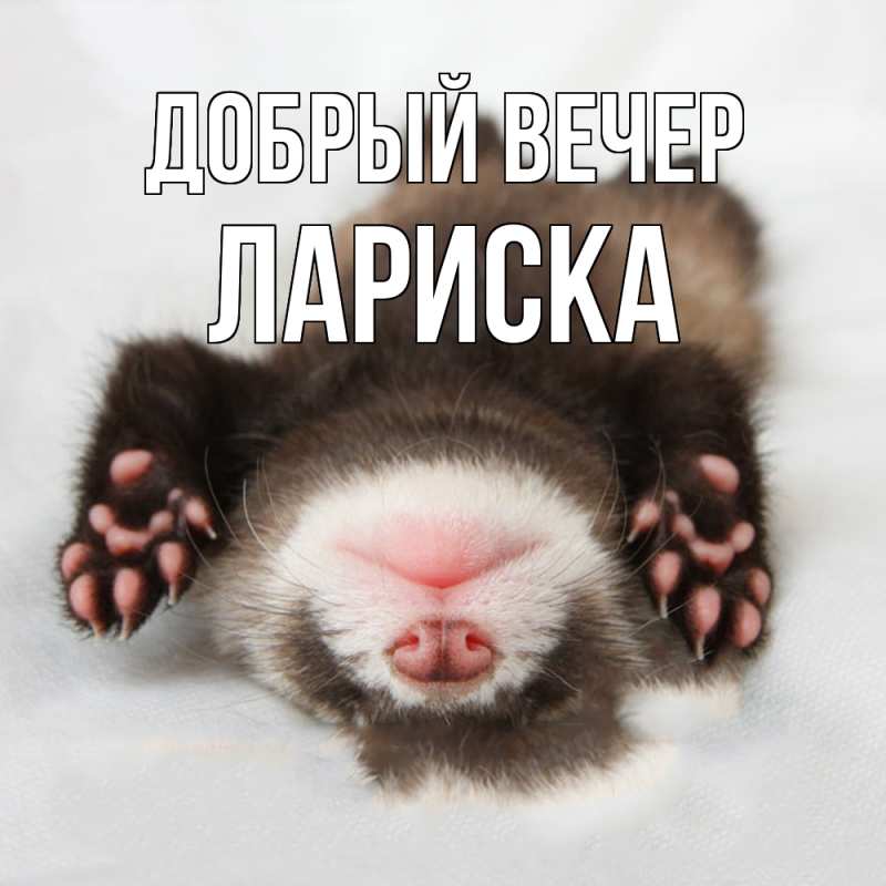 Картинка Добрый вечер, Лариска