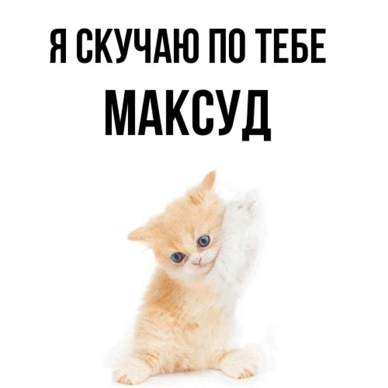 Картинка Я скучаю по тебе, Максуд