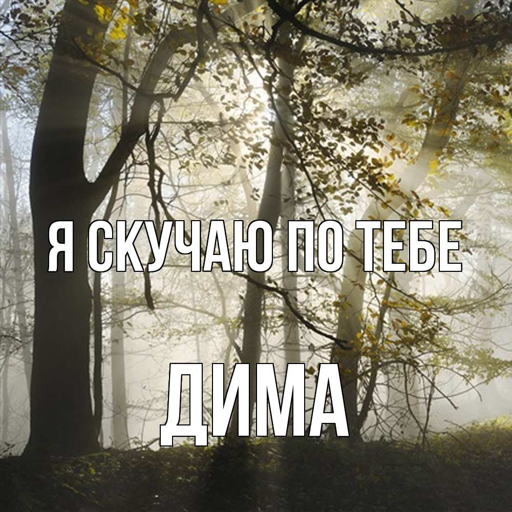 Открытка  с именем. Дима, Я скучаю по тебе  