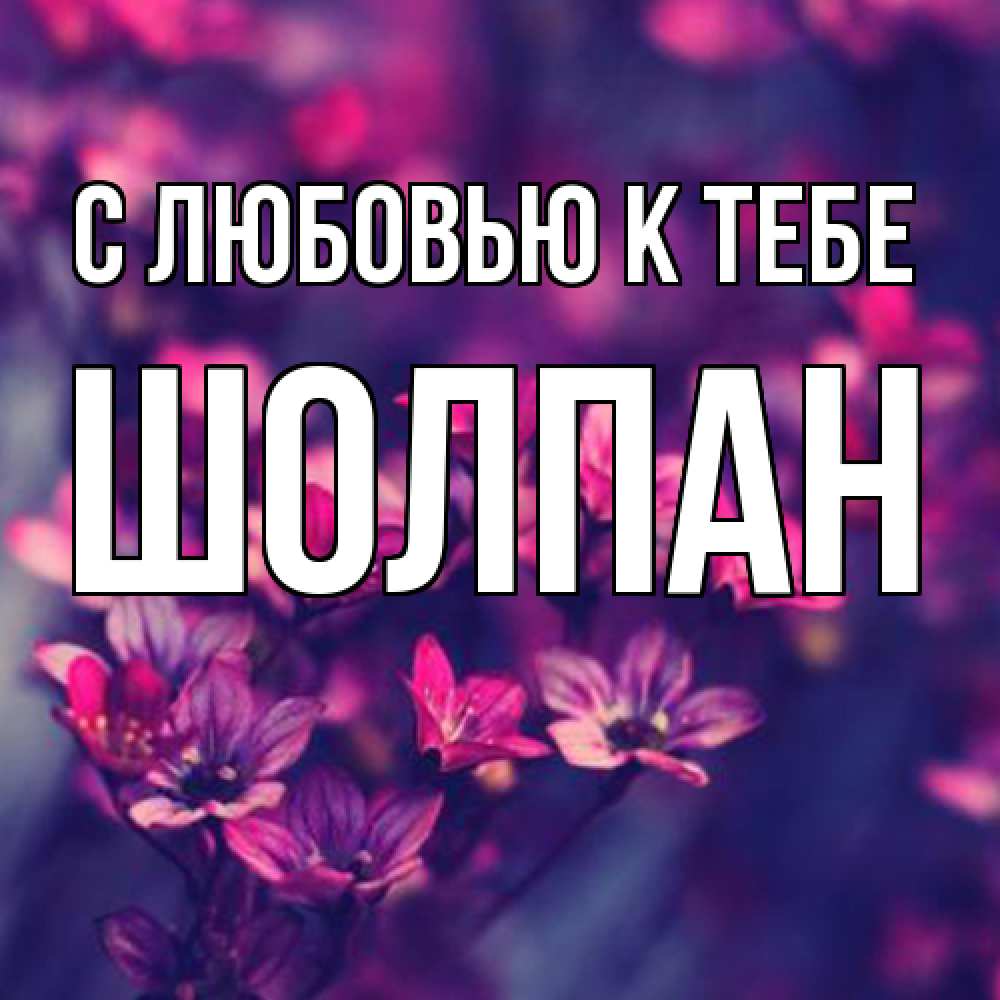 Открытка  с именем. Шолпан, С любовью к тебе  