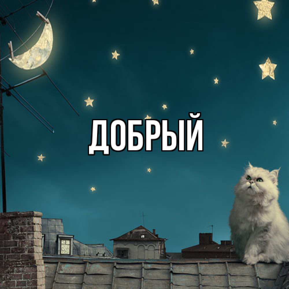 Открытка  с именем. Добрый, Главная  
