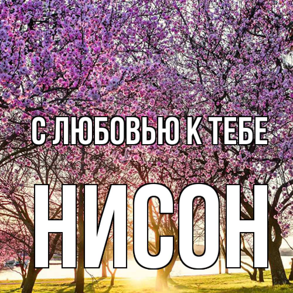 Открытка  с именем. Нисон, С любовью к тебе  