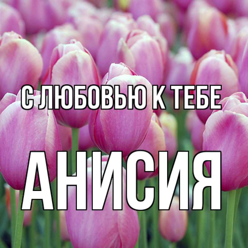Картинка С любовью к тебе, Анисия
