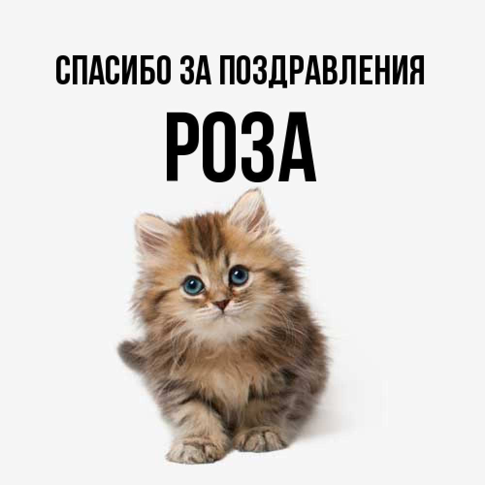 Открытка  с именем. Роза, Спасибо за поздравления  