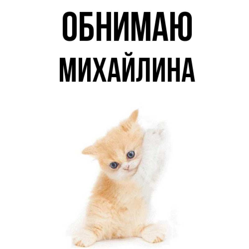 Картинка Обнимаю, Михайлина