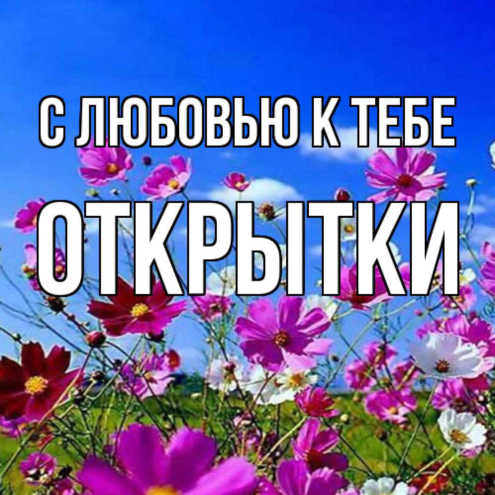 Открытка  с именем. открытки, С любовью к тебе  