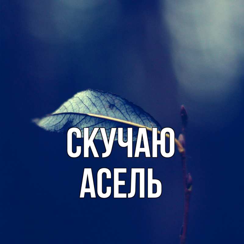 Картинка Скучаю, Асель