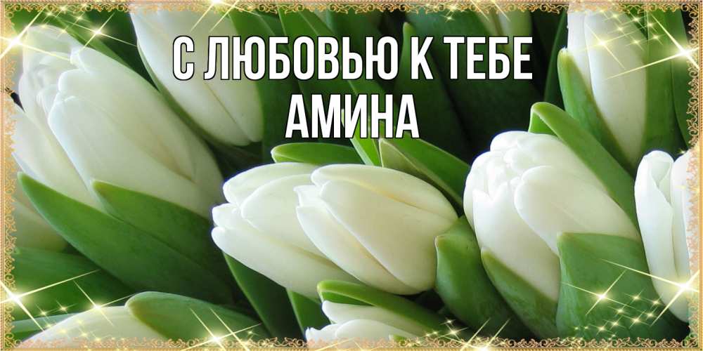 Открытка  с именем. Амина, С любовью к тебе  