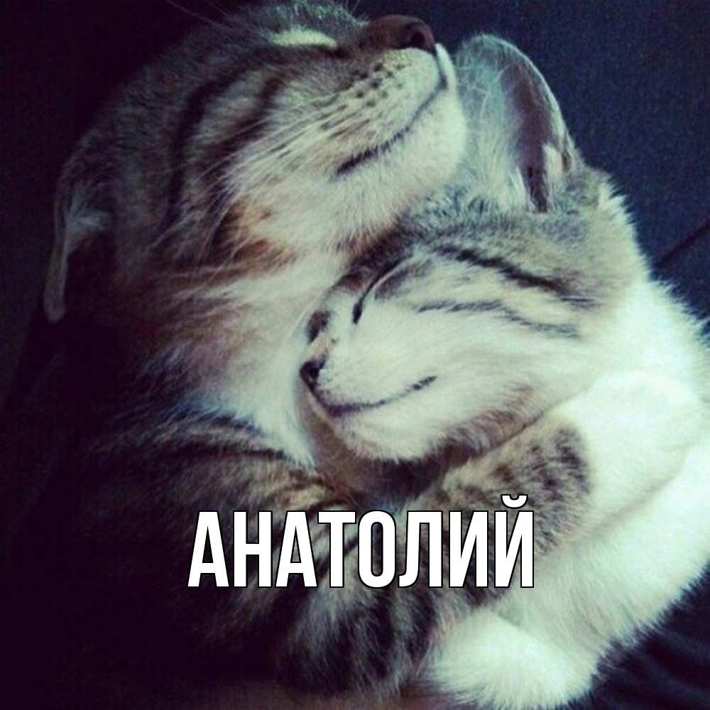 Открытка  с именем. Анатолий, Главная  