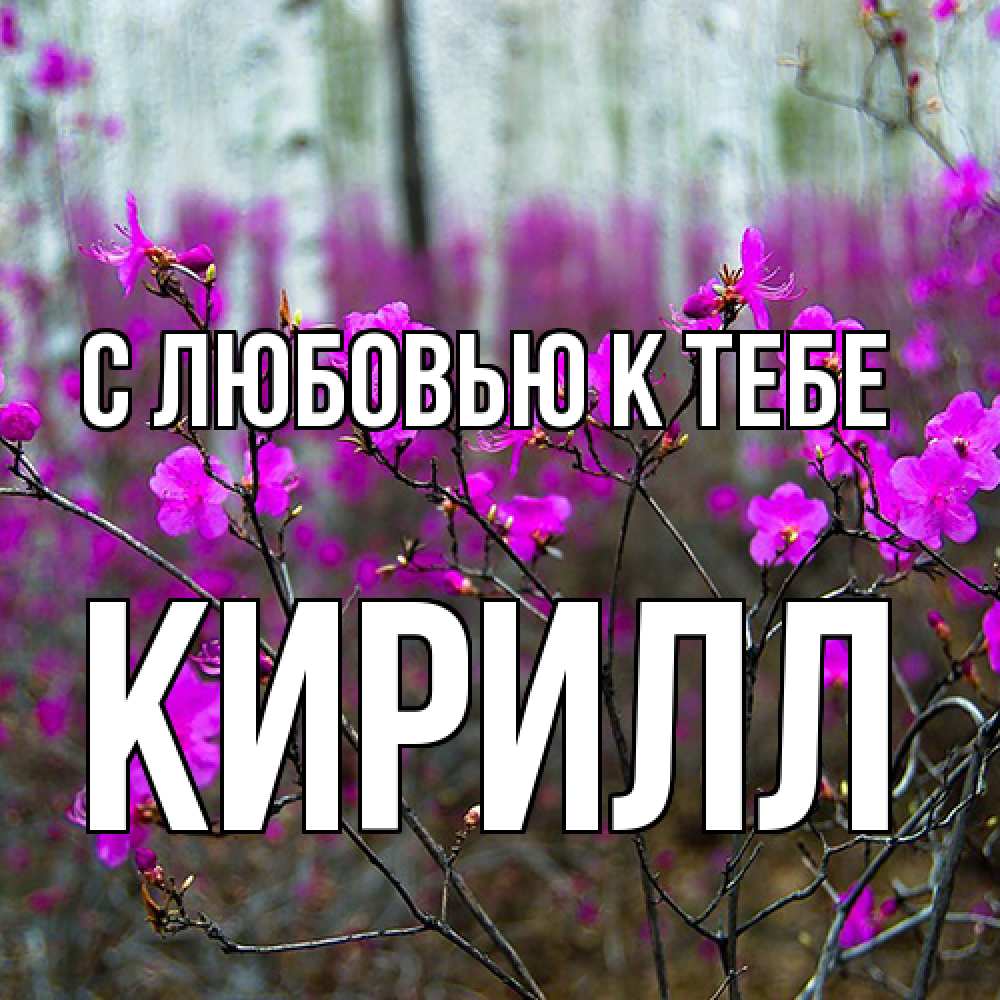 Открытка  с именем. Кирилл, С любовью к тебе  