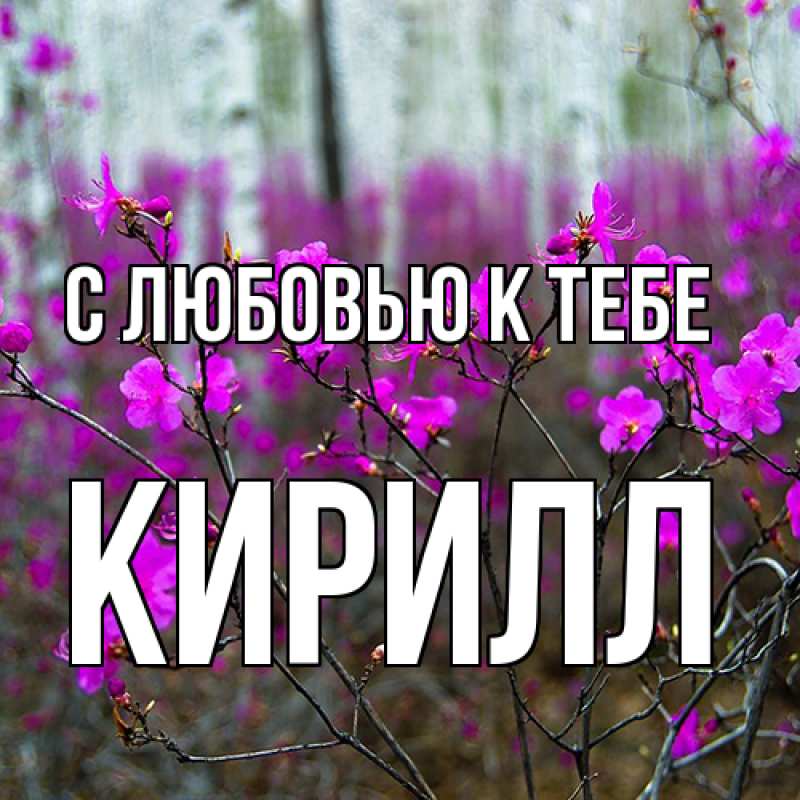 Картинка С любовью к тебе, Кирилл