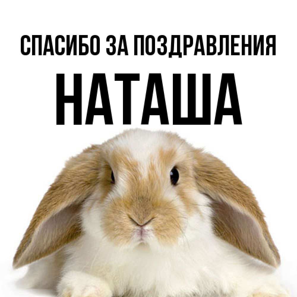 Открытка  с именем. Наташа, Спасибо за поздравления  