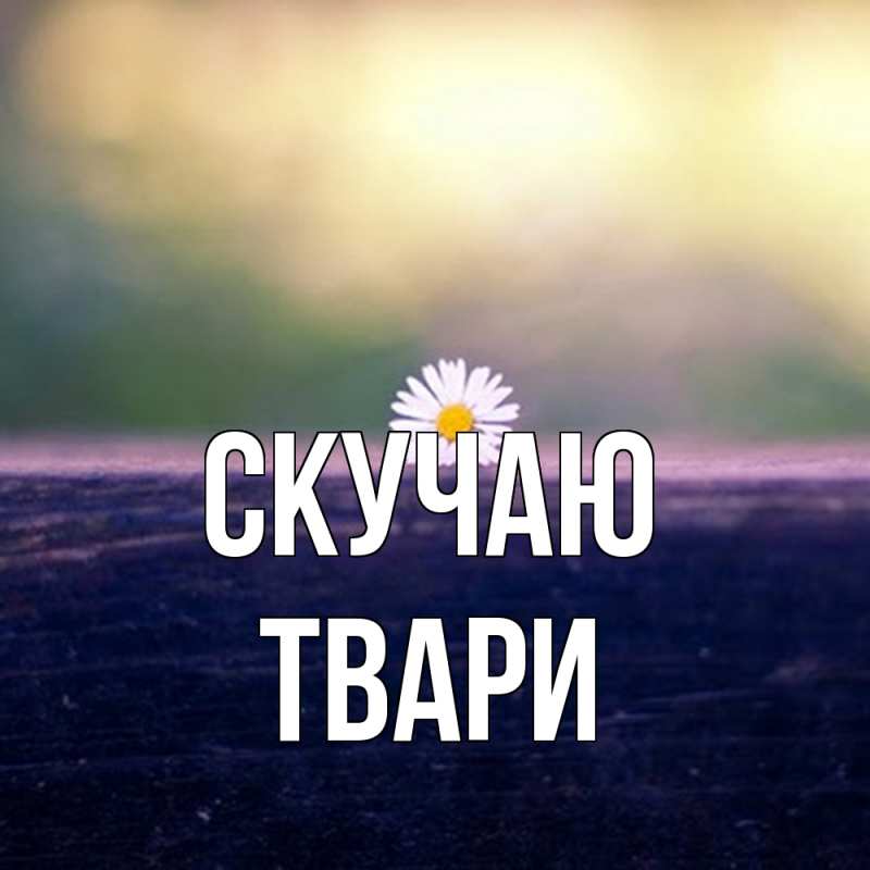 Картинка Скучаю, твари