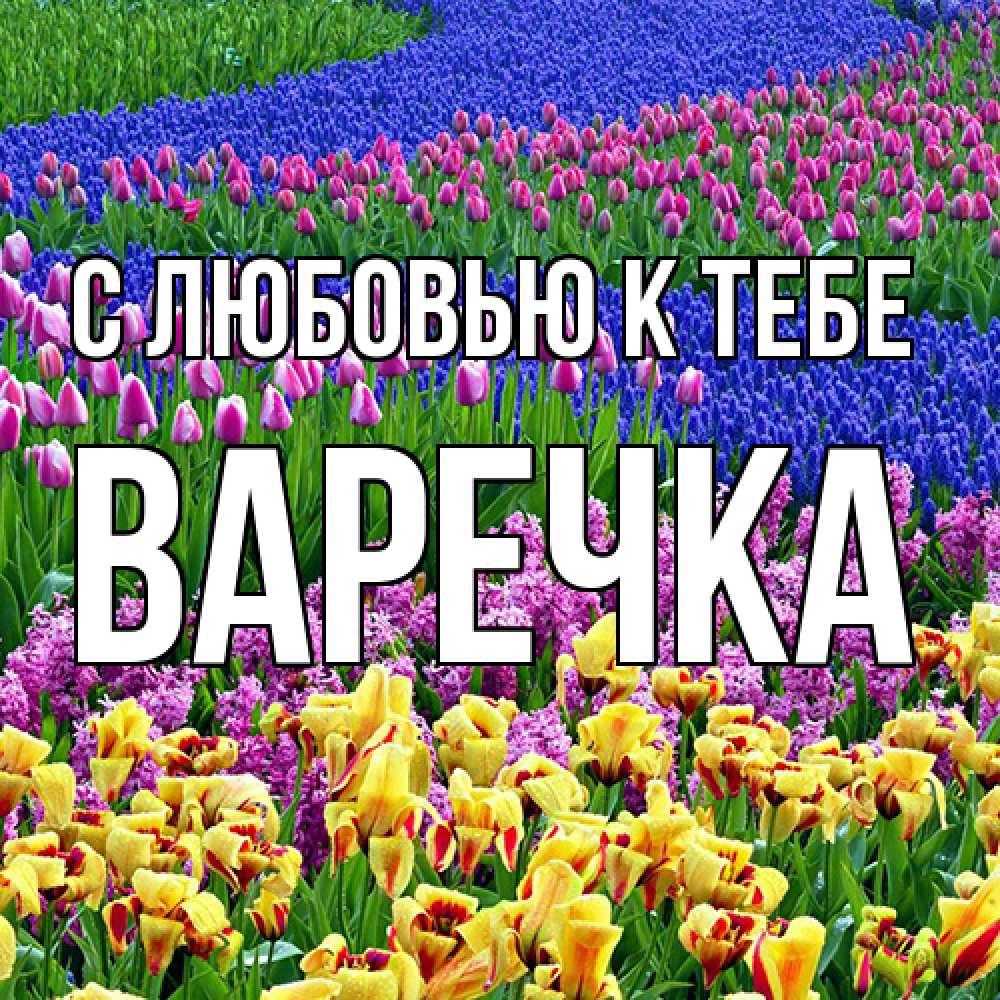 Открытка  с именем. Варечка, С любовью к тебе  