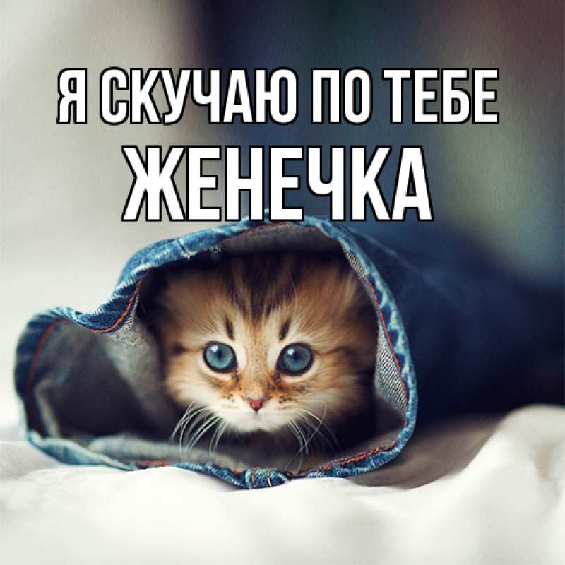 Картинка Я скучаю по тебе, Женечка