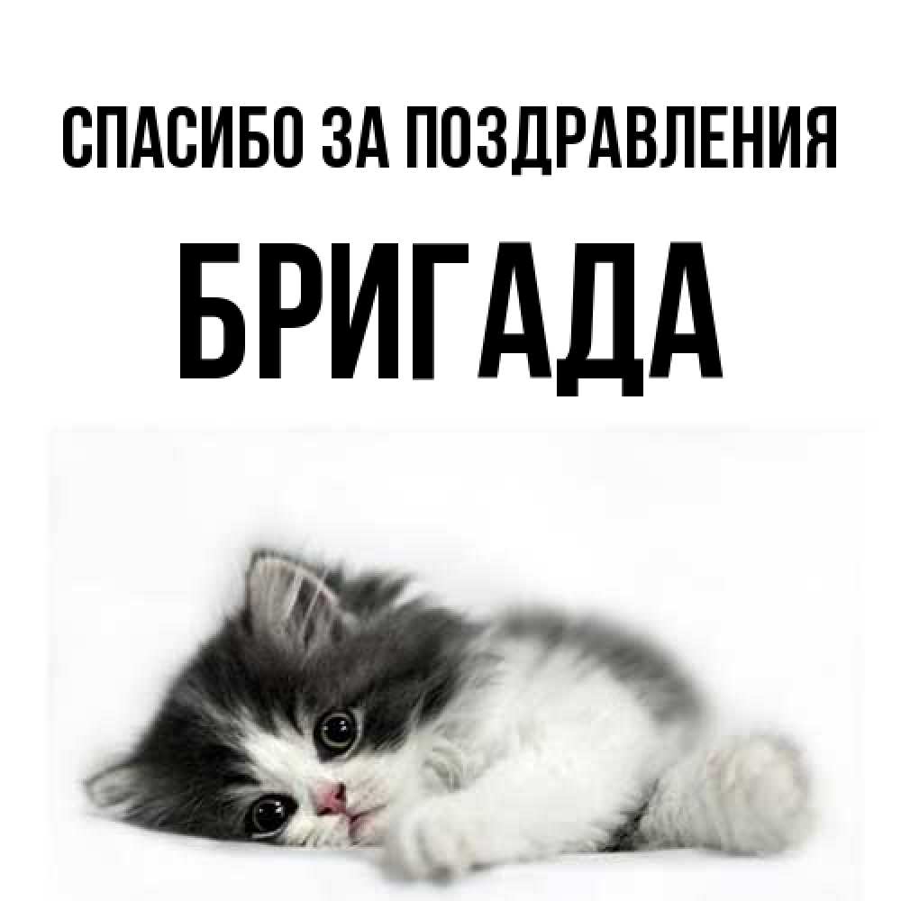 Открытка  с именем. Бригада, Спасибо за поздравления  
