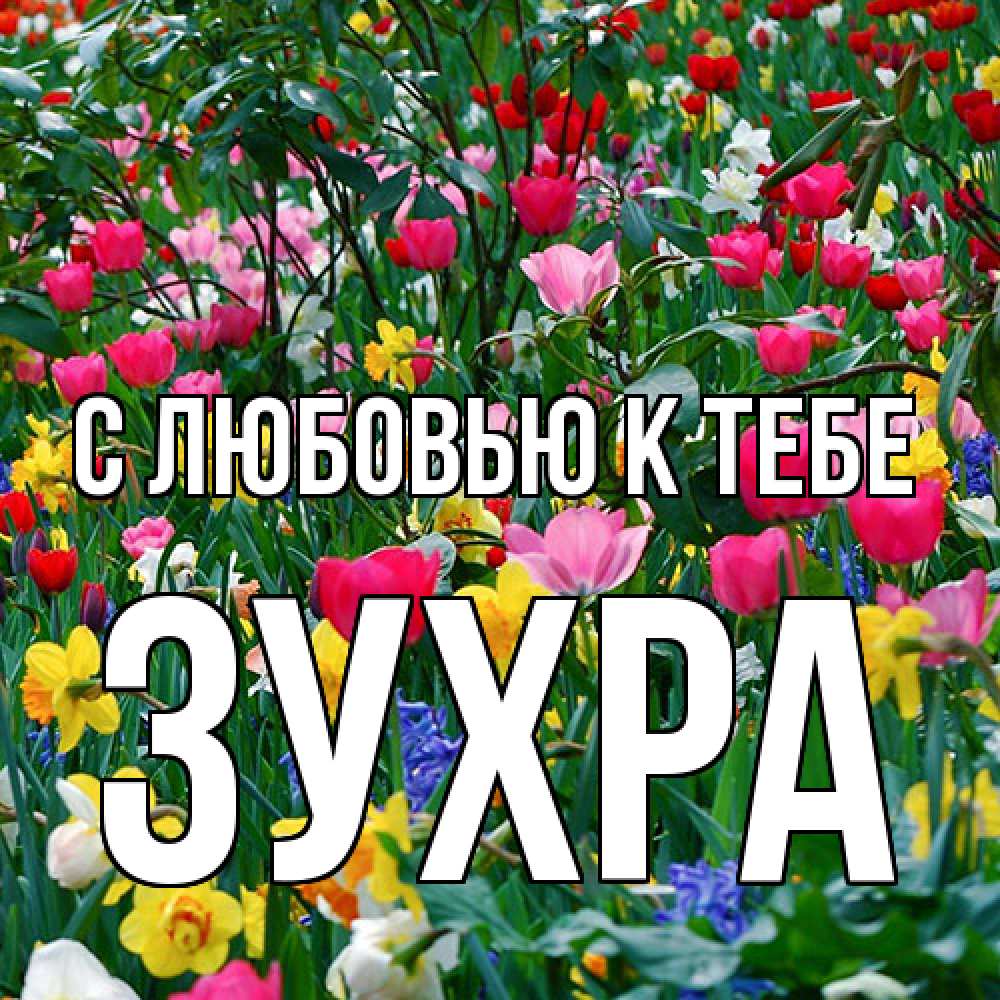 Открытка  с именем. Зухра, С любовью к тебе  