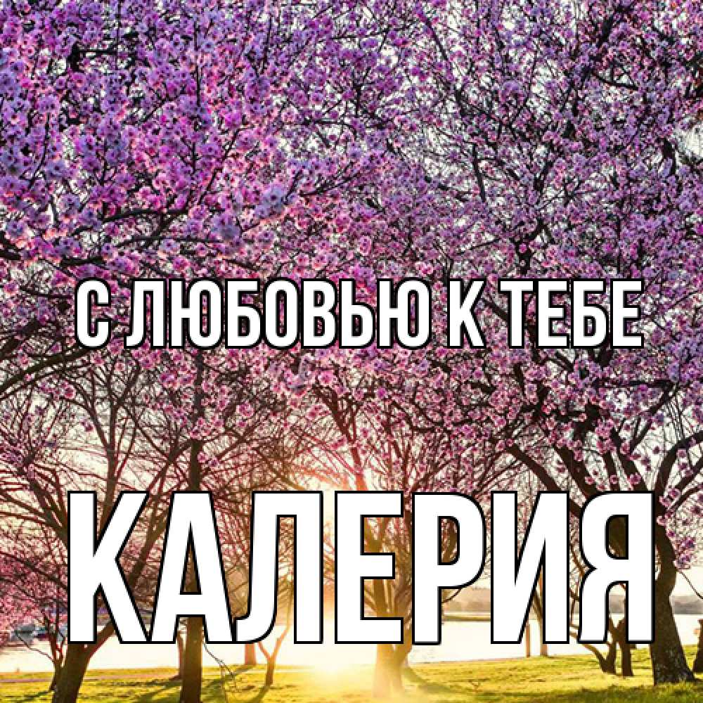 Открытка  с именем. Калерия, С любовью к тебе  