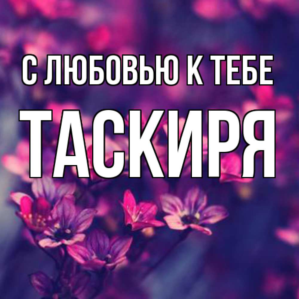 Открытка  с именем. Таскиря, С любовью к тебе  