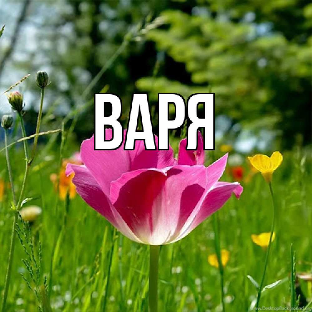 Открытка  с именем. варя, Главная  