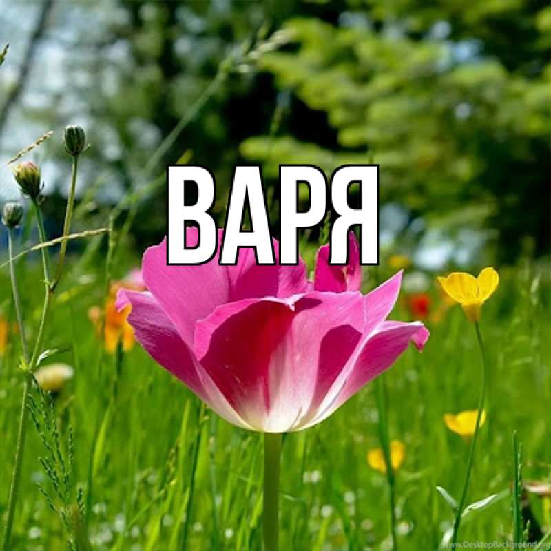 Картинка  с именем , варя