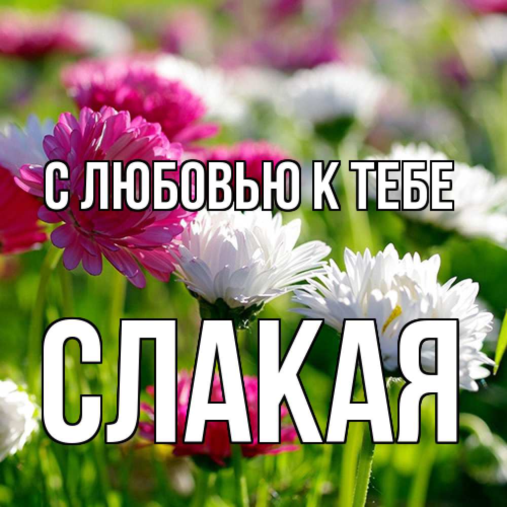 Открытка  с именем. Слакая, С любовью к тебе  