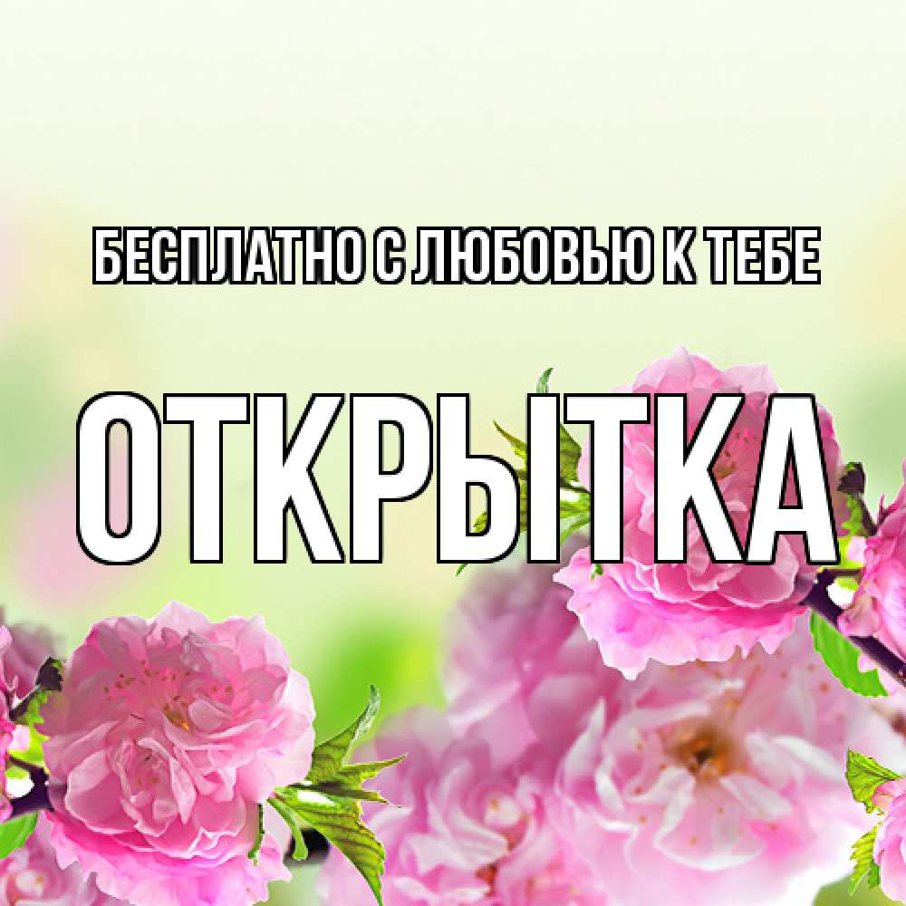 Открытка  с именем. открытка, С любовью к тебе  