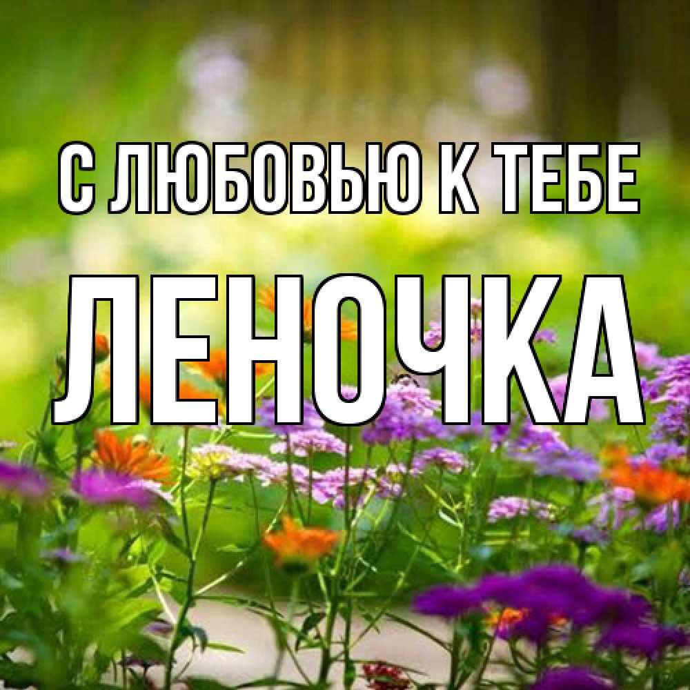 Открытка  с именем. ЛЕНОЧКА, С любовью к тебе  