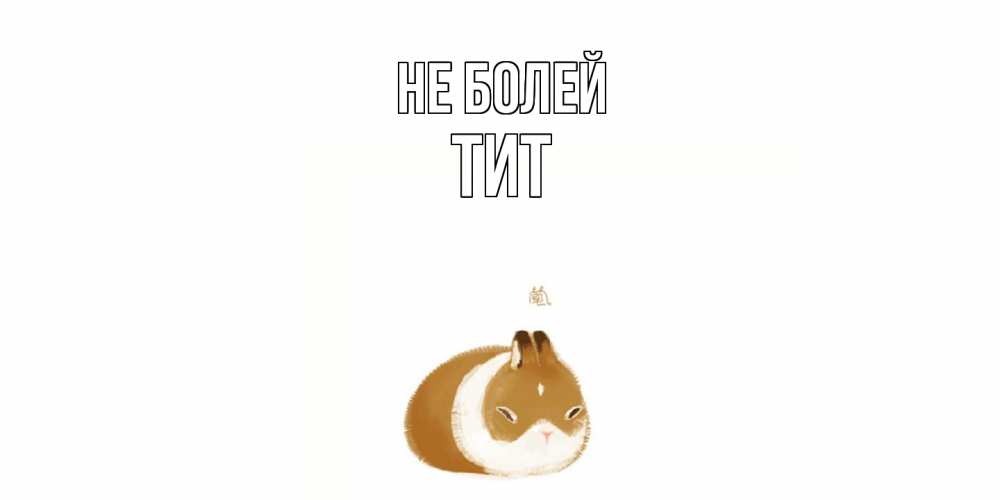 Открытка  с именем. Тит, Не болей  