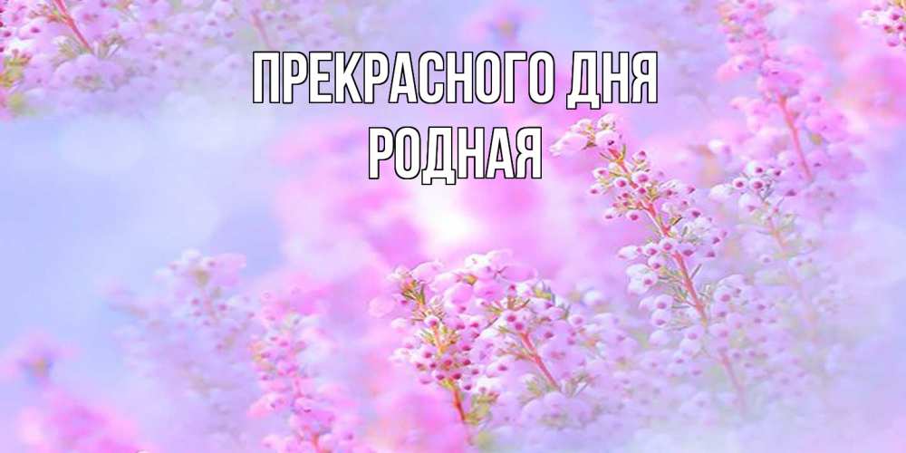 Открытка  с именем. Родная, Прекрасного дня  