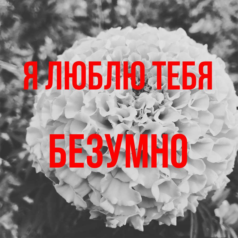 Открытка  с именем. безумно, Я люблю тебя  