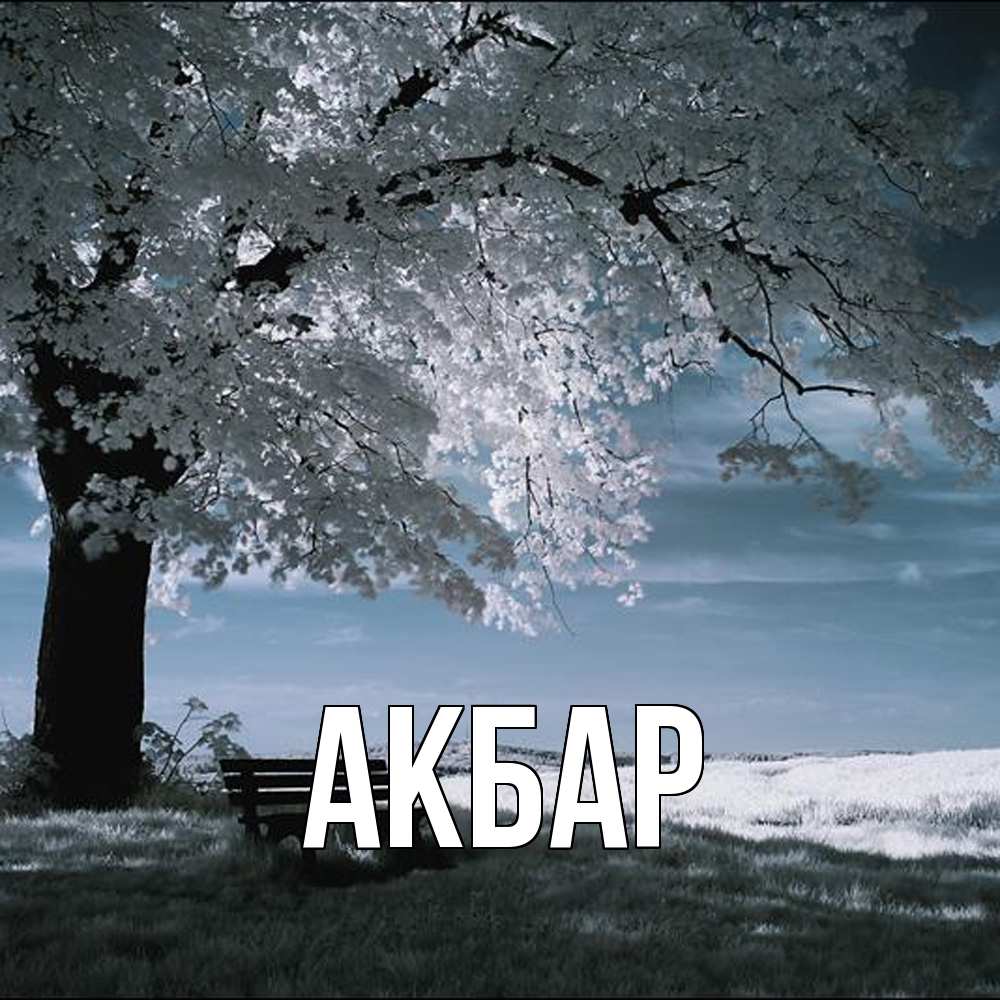Открытка  с именем. Акбар, Главная  