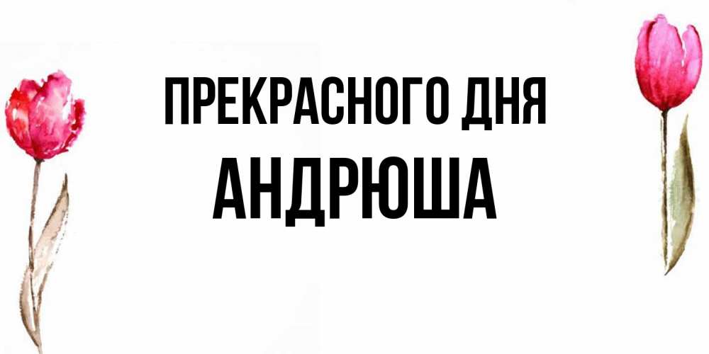 Открытка  с именем. Андрюша, Прекрасного дня  