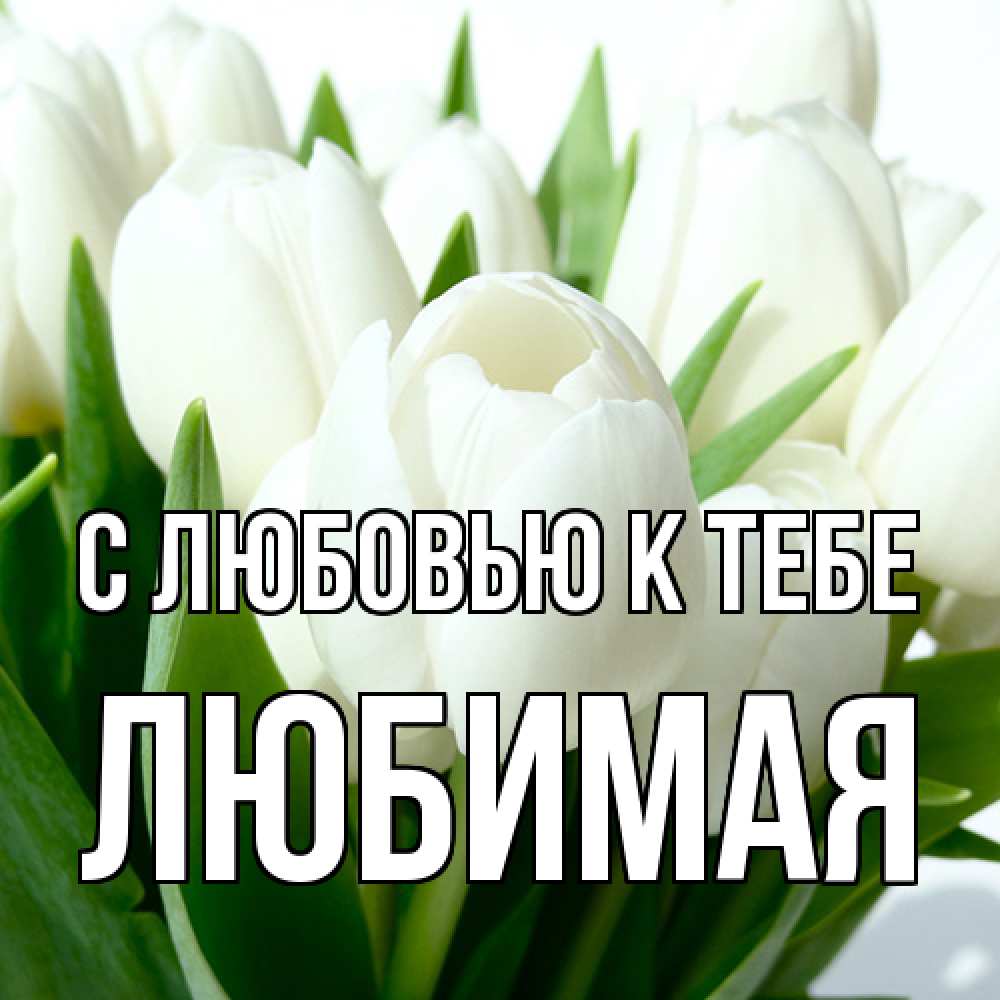 Открытка  с именем. Любимая, С любовью к тебе  