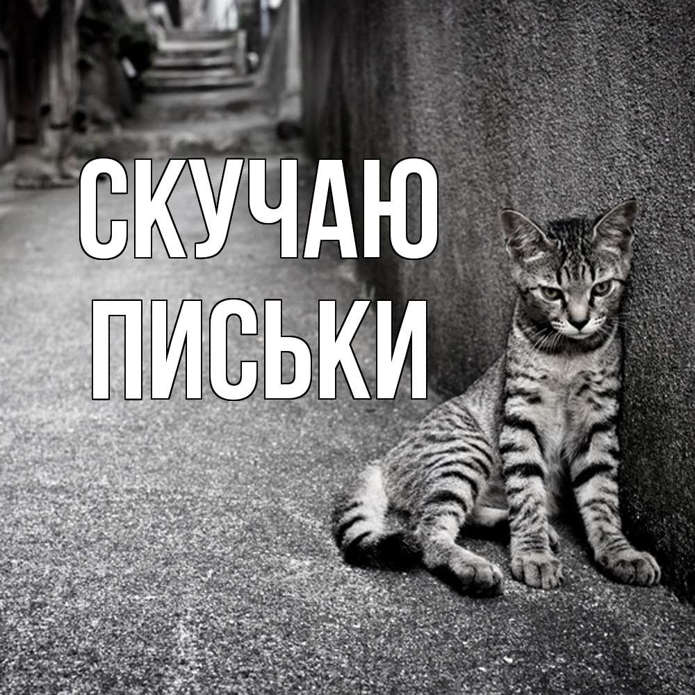 Открытка  с именем. Письки, Скучаю  