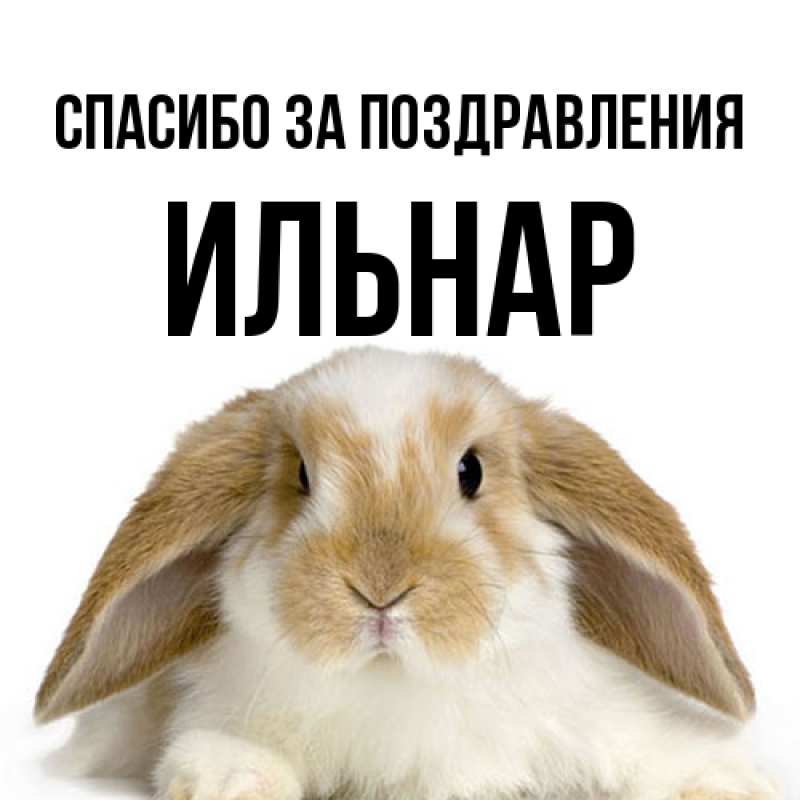 Картинка Спасибо за поздравления, Ильнар