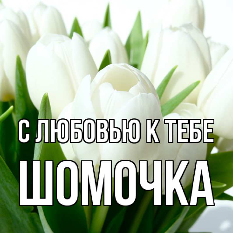 Картинка С любовью к тебе, Шомочка