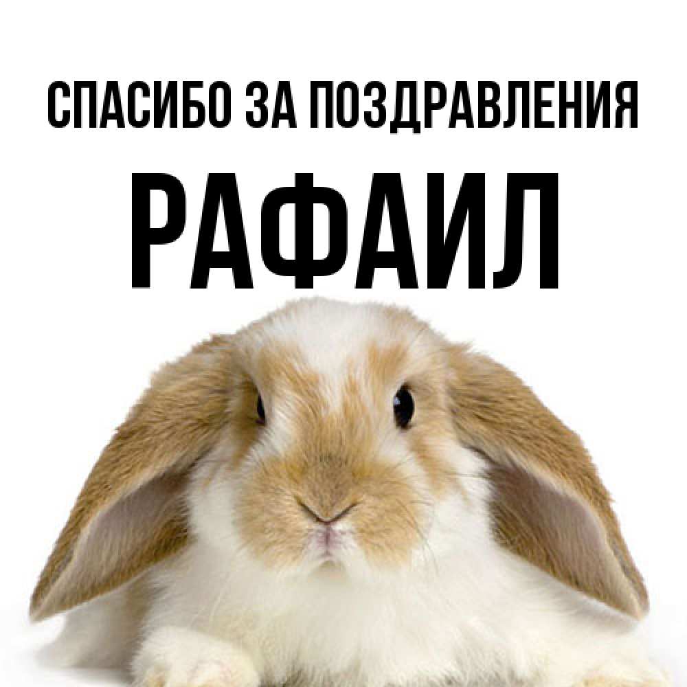 Открытка  с именем. Рафаил, Спасибо за поздравления  
