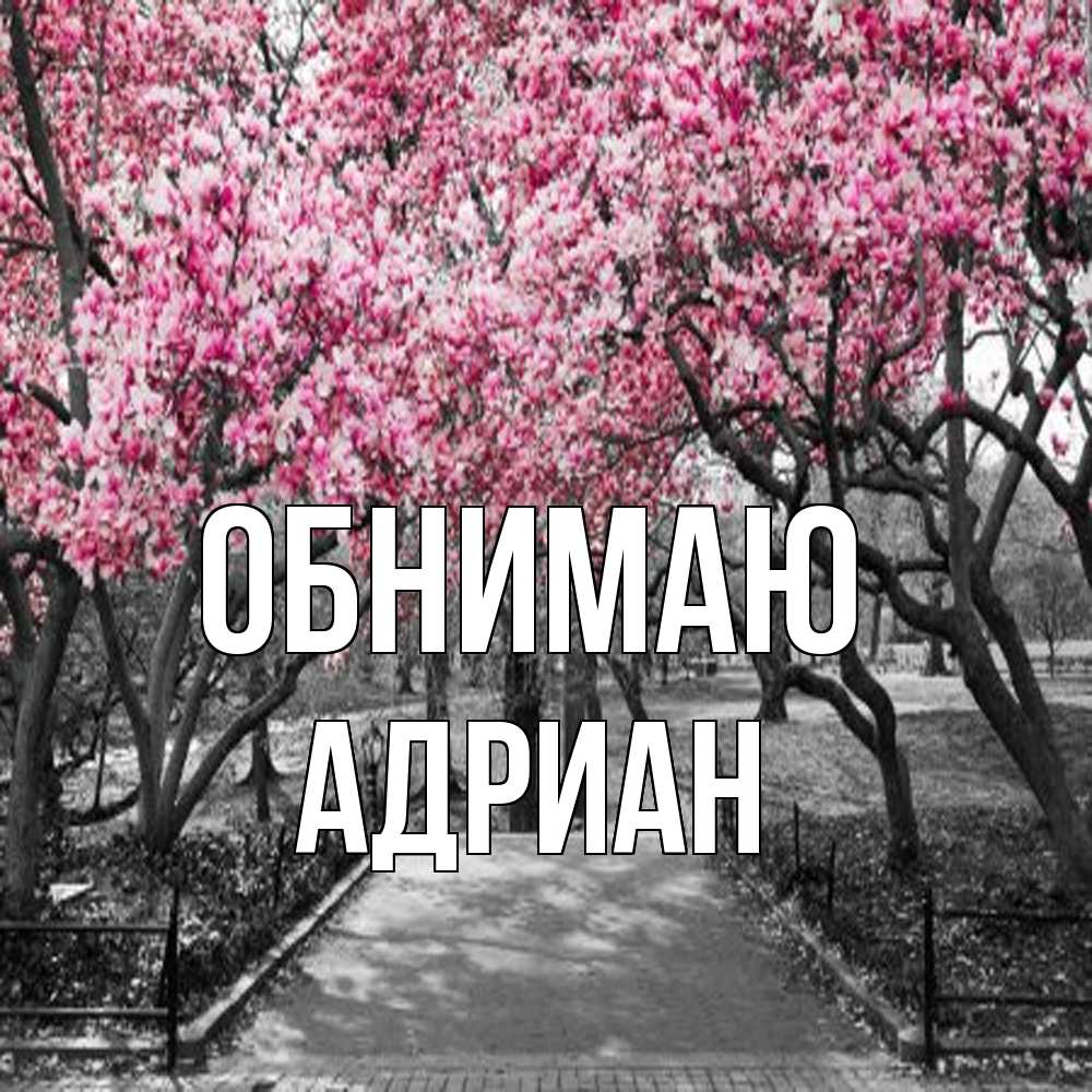 Открытка  с именем. Адриан, Обнимаю  