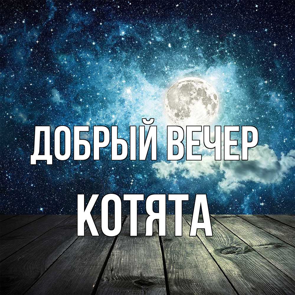 Открытка  с именем. Котята, Добрый вечер  