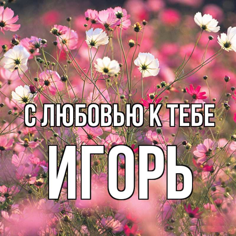 Картинка С любовью к тебе, Игорь