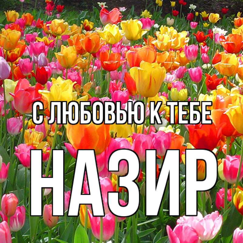 Картинка С любовью к тебе, Назир
