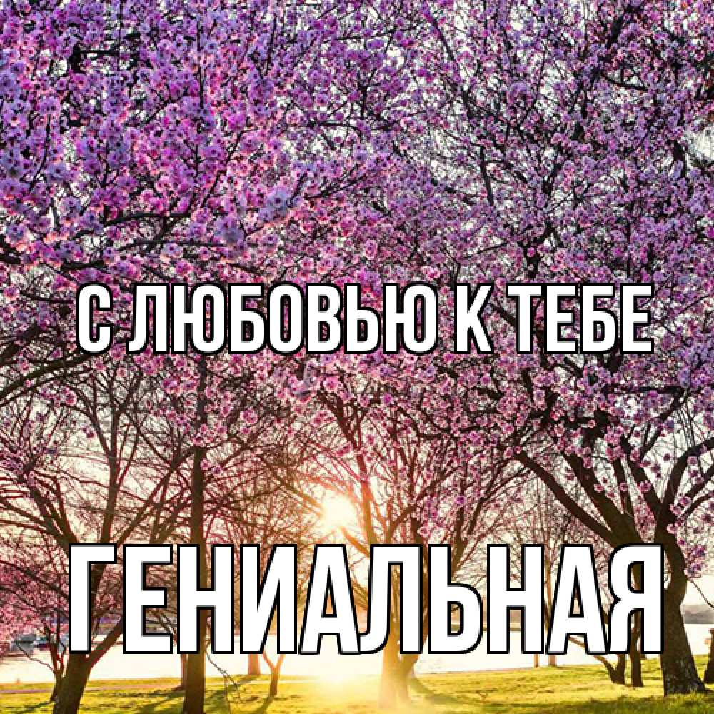 Открытка  с именем. Гениальная, С любовью к тебе  