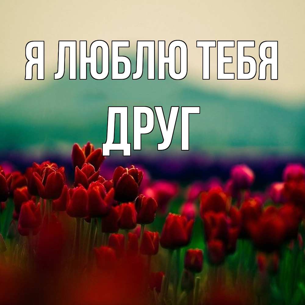 Открытка  с именем. ДРУГ, Я люблю тебя  