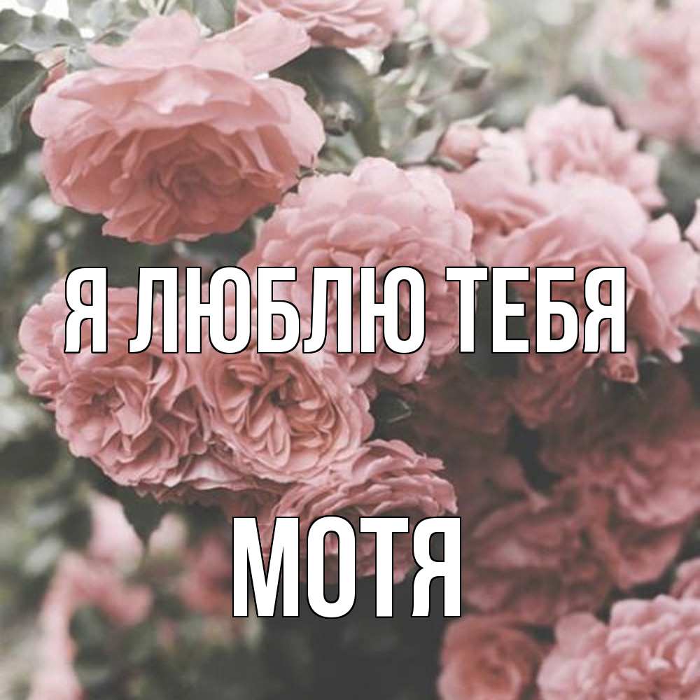 Открытка  с именем. Мотя, Я люблю тебя  