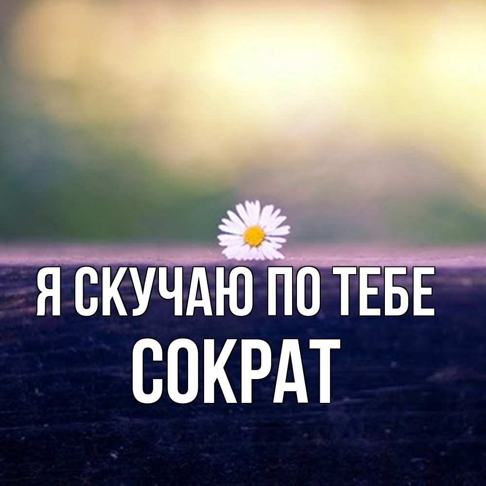 Открытка  с именем. Сократ, Я скучаю по тебе  