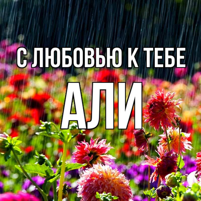Картинка С любовью к тебе, Али