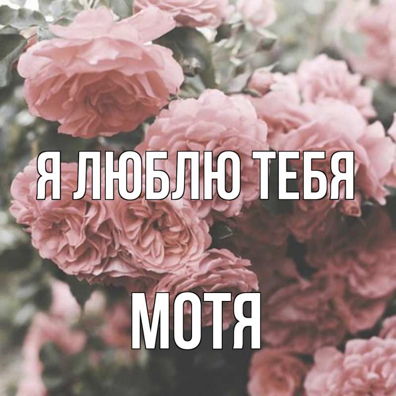 Картинка Я люблю тебя, Мотя
